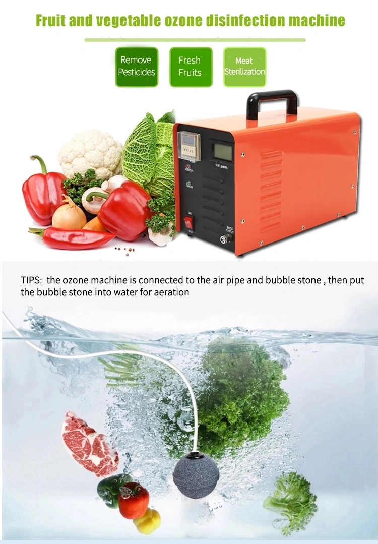 China Portable Mini Ceramic Plate Ozone Generator Ozonator Machine Ozone Air Purifier for Car Home Air and Good Price