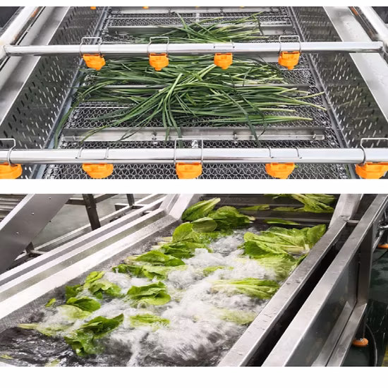 Rotary Ozone Water Bubble Tomato Chili Washing Automatic Fruit Leafy Vegetable Washing Machine Ultrasonic