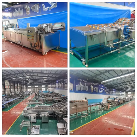 Rotary Ozone Water Bubble Tomato Chili Washing Automatic Fruit Leafy Vegetable Washing Machine Ultrasonic
