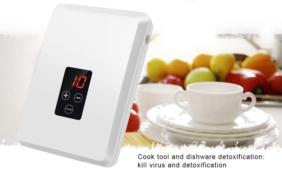 Wall Mounted Vegetable Purifiers Ozone Water Purifier Ozone Generator Home Appliance Fruit and Vegetable Clean Ozone Water Sterilizers