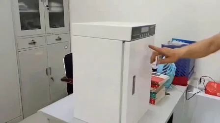 Esterilizador de metal Luoyang para archivos y libros Gabinete de desinfección con ozono