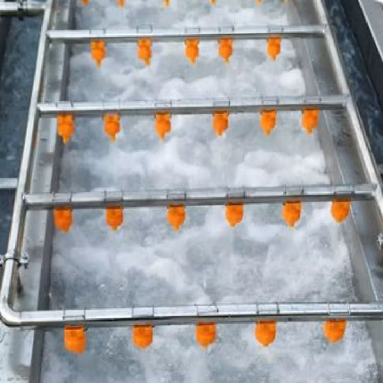 Lavadora automática ultrasónica de frutas y verduras con burbujas de agua y ozono rotatorio para lavado de chile y tomate