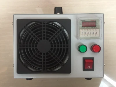 Generador de ozono portátil de 220 V y 20 g/H utilizado para purificación de aire